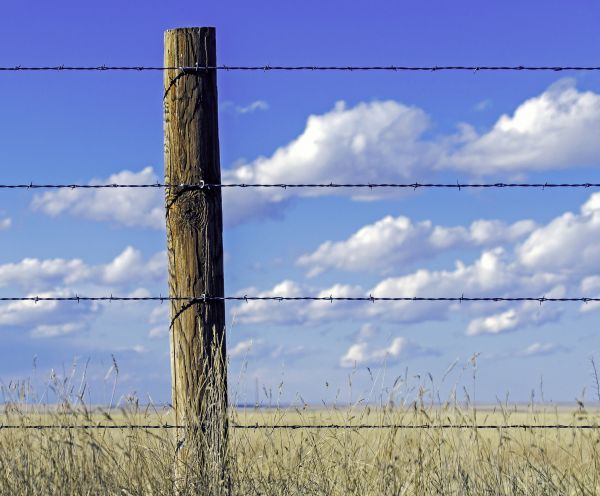 Grow your Farm Fencing Services business