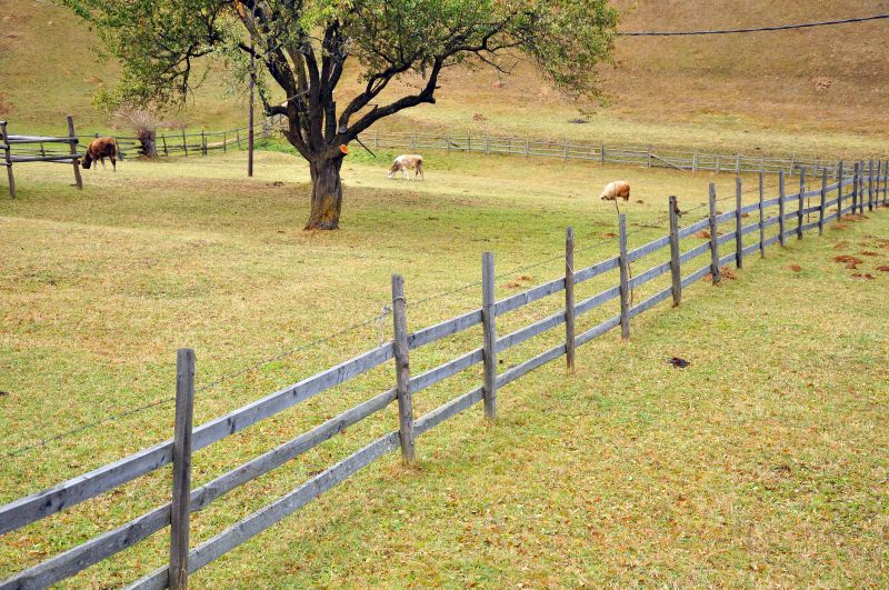 Farm Fencing Services