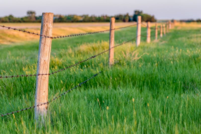 Farm Fencing Services Cost — cost of