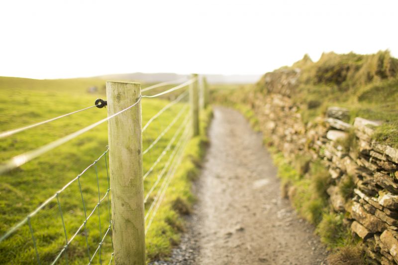Farm Fencing Services Cost — cost of